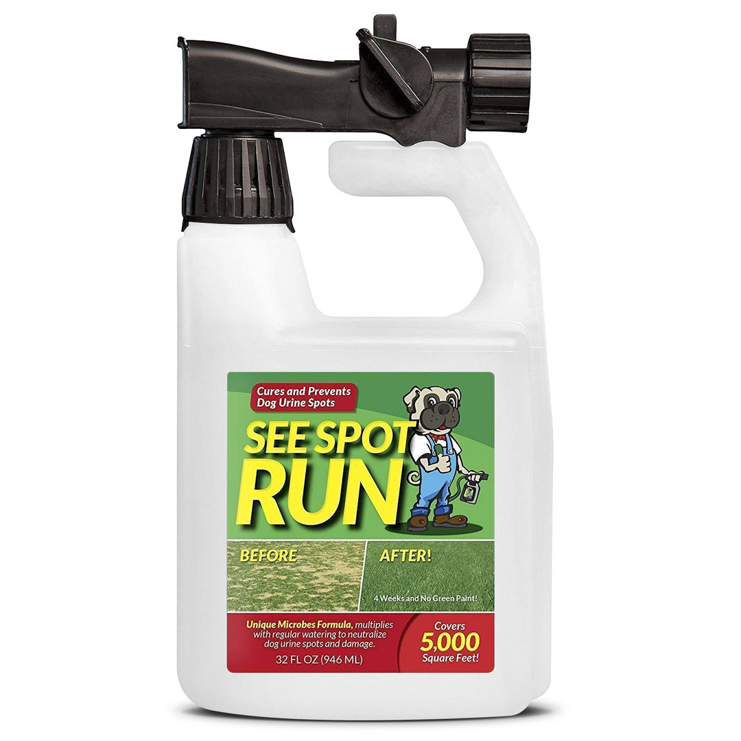 Dog urine repellent for grass hotsell